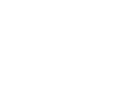 Soraphen molecular structure