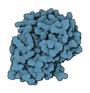 Enzyme Engineering Services
