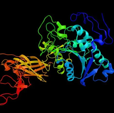 Structure generates using our enzyme development services