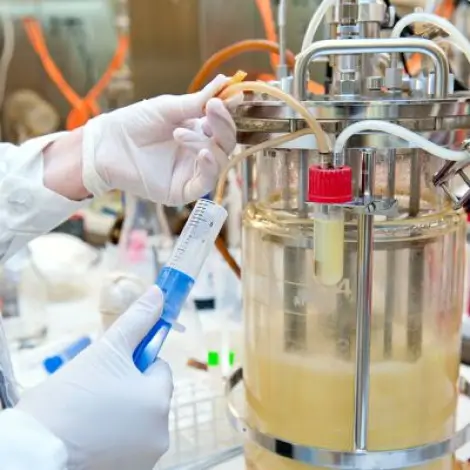 Pichia protein expression platform