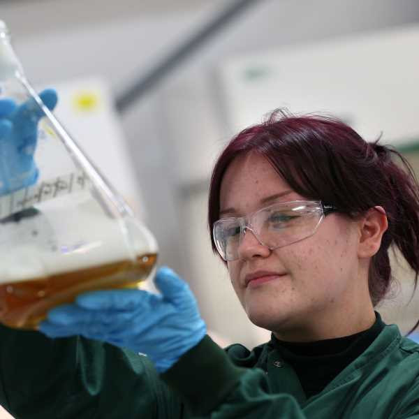 Person inspecting bacteria in a 2 liter flask